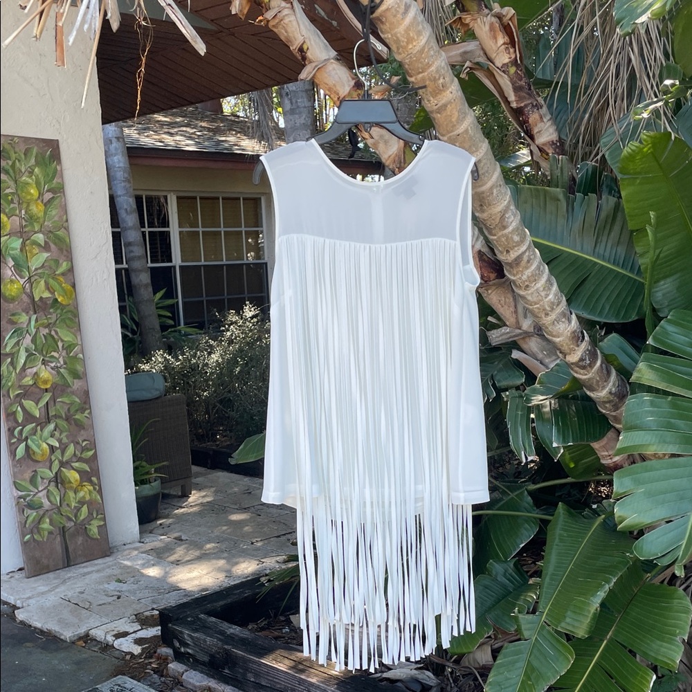 Cartisse sheer top with long fringe dress length